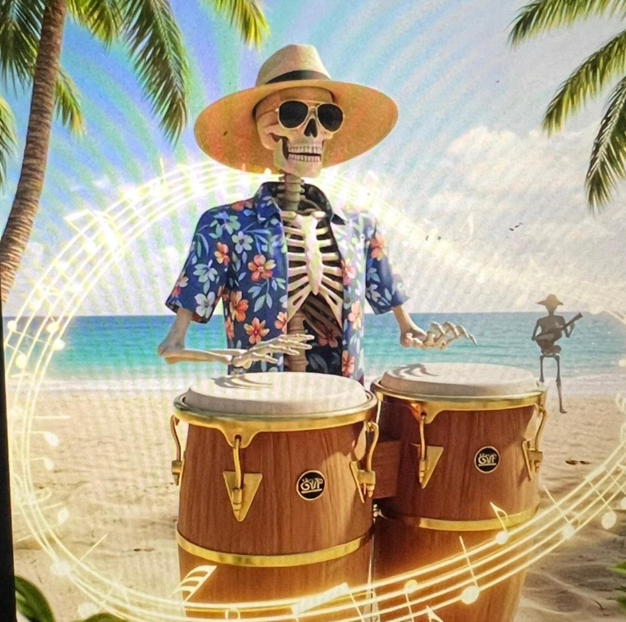 Island Percussionist Paradise